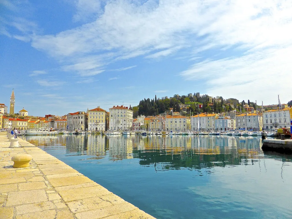 Piran harbour with boats, start of the team boat trip
